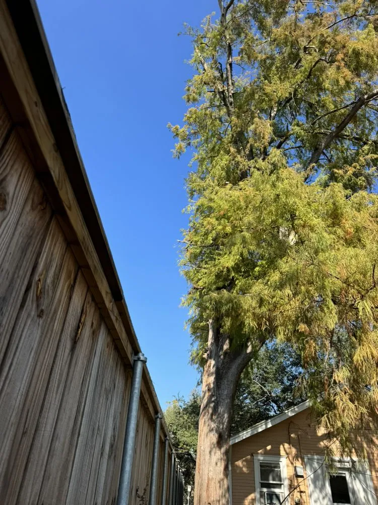 Reliable outdoor landscaping for residential properties across Houston, TX - Corona Landscaping