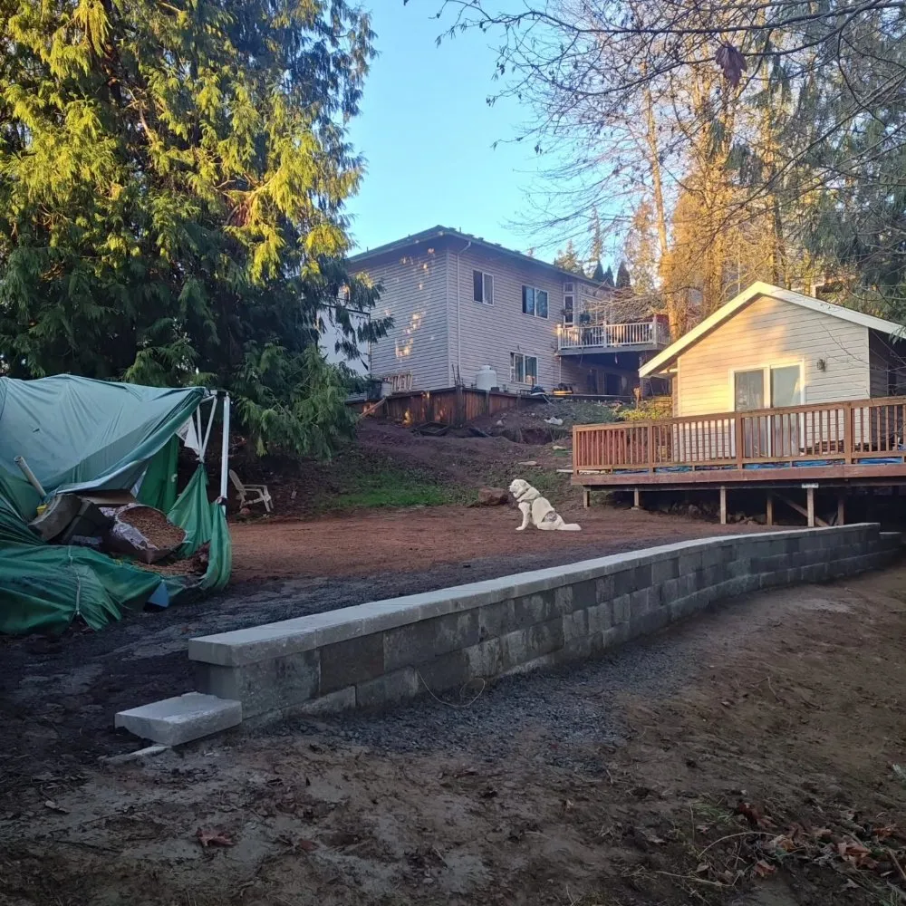 Trusted yard cleanup service experts serving Monroe, WA - Corona Landscaping