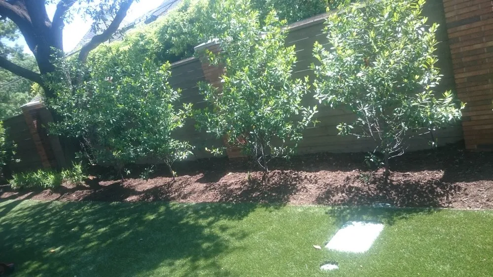 Trusted residential landscaping in Plano, TX - Corona Landscaping