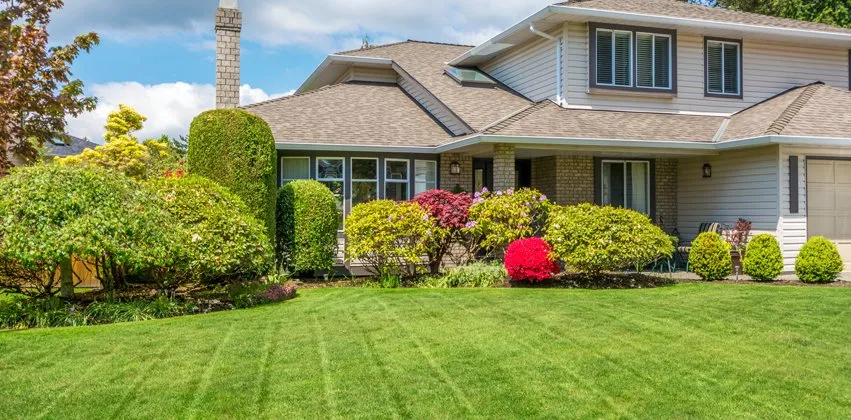 Professional lawn care service in Plano, TX - Corona Landscaping