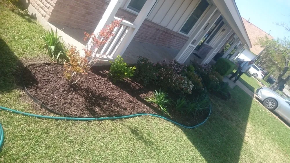 Expert lawn care service in Plano, TX - Corona Landscaping