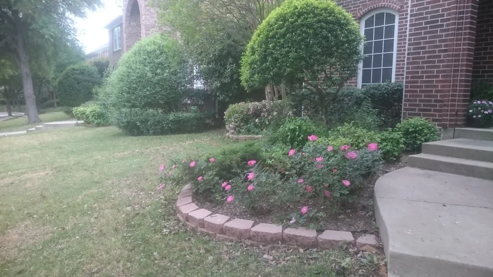 Custom garden landscaping in Plano, TX by Corona Landscaping