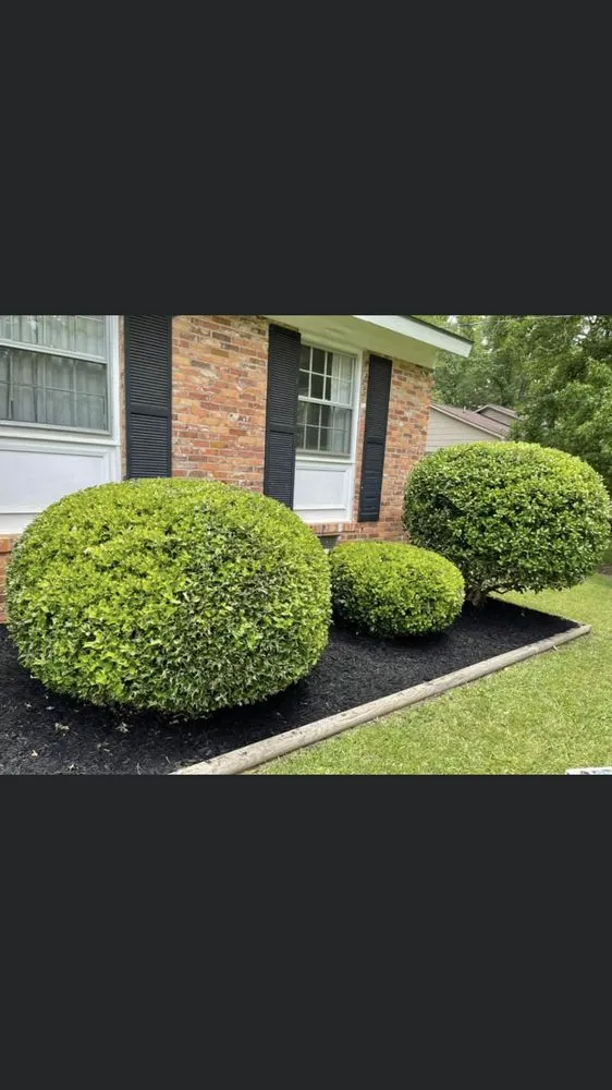 Trusted landscape design for residential properties in Charlotte, NC by Corona Lawn Care