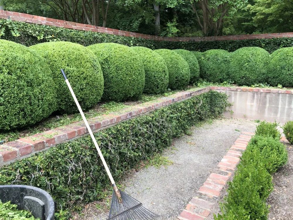 Custom lawn mowing service for year-round maintenance in Charlotte, NC by Corona Lawn Care