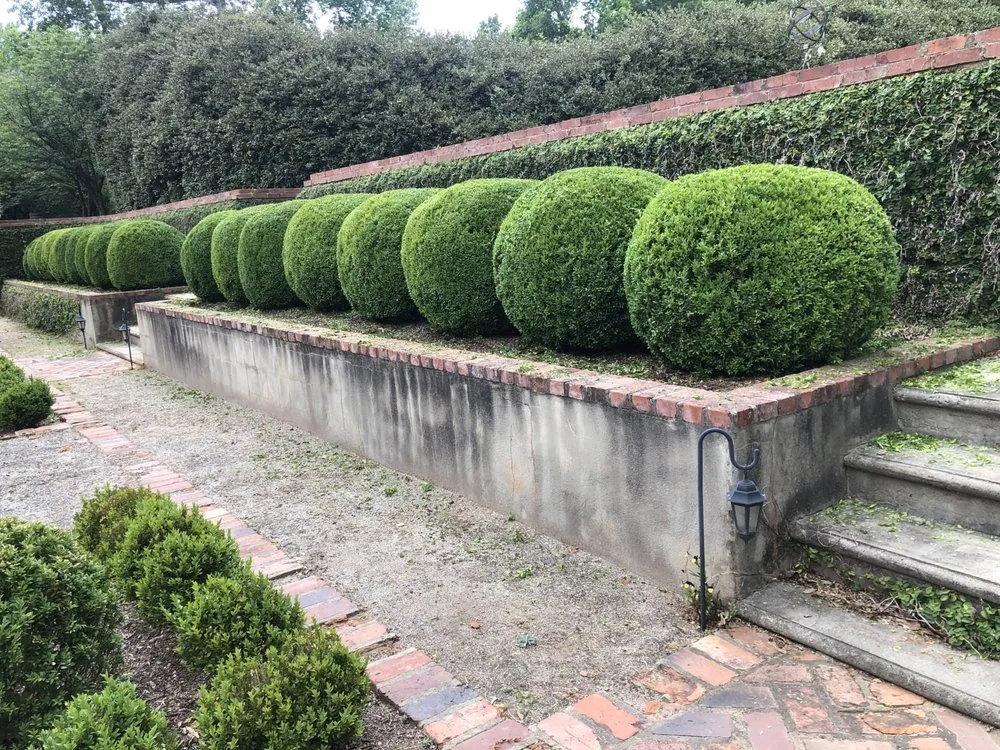 Top-rated outdoor landscaping in Charlotte, NC - Corona Lawn Care