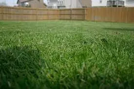 Affordable residential landscaping experts serving Del Valle, TX - Corona Lawn Services
