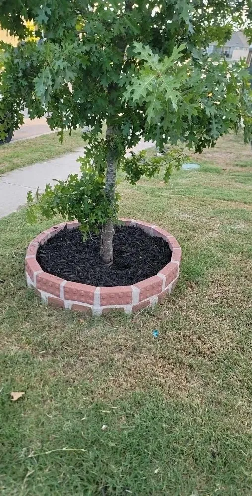 Custom landscape installation experts serving Del Valle, TX - Corona Lawn Services