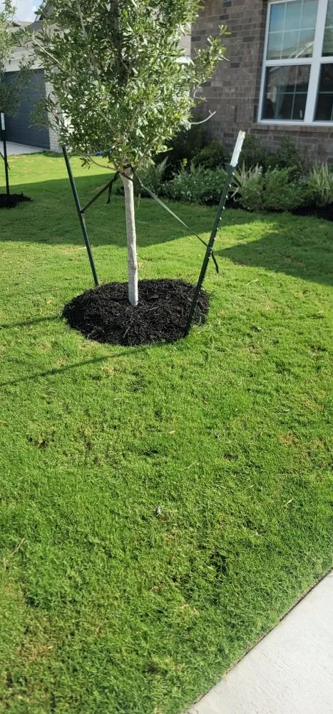 Custom residential landscaping in Del Valle, TX - Corona Lawn Services