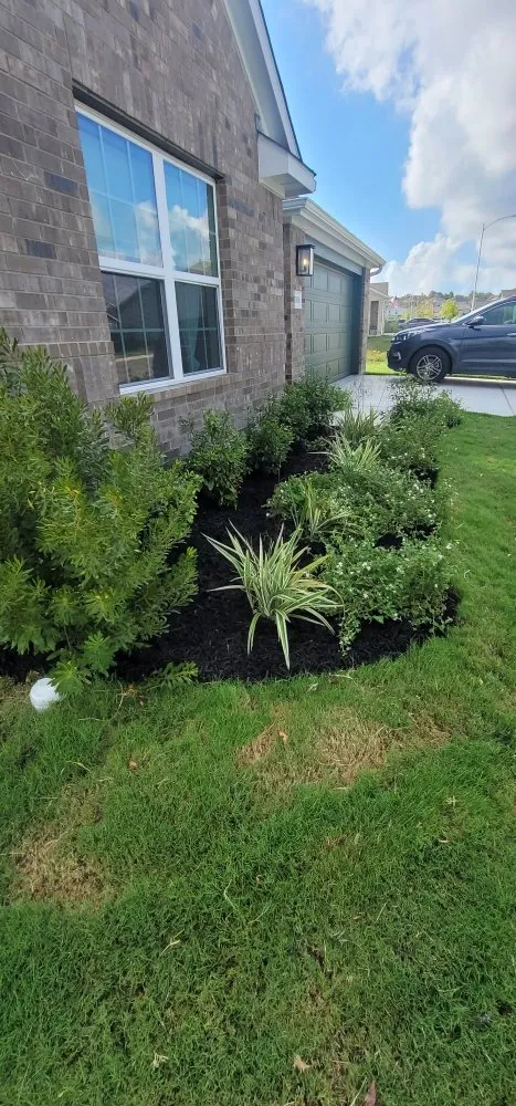 Reliable landscaping services near you across Del Valle, TX - Corona Lawn Services