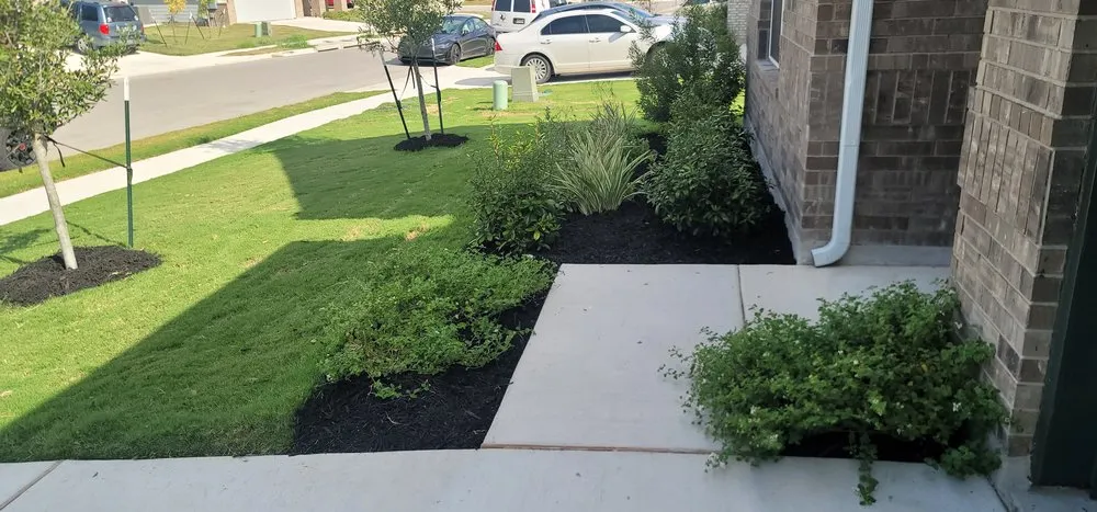 Trusted landscape installation experts serving Del Valle, TX - Corona Lawn Services