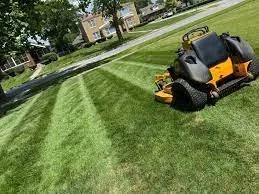 Affordable yard maintenance for year-round maintenance in Del Valle, TX by Corona Lawn Services