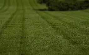 Top-rated lawn care service experts serving Del Valle, TX - Corona Lawn Services