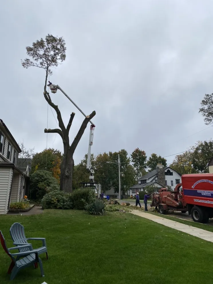 Top-rated lawn mowing service in Norwalk, CT - Corona Tree Service