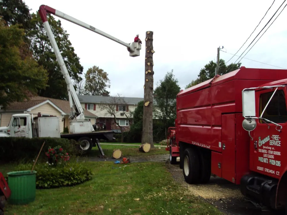 Expert outdoor landscaping with custom design in Norwalk, CT by Corona Tree Service