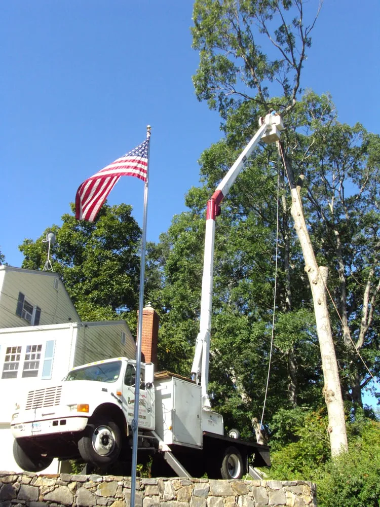 Professional yard maintenance in Norwalk, CT by Corona Tree Service