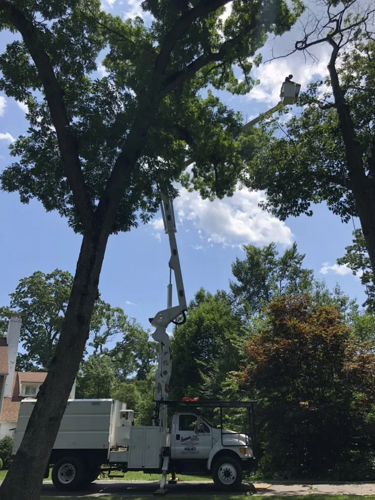 Reliable landscape design for year-round maintenance across Norwalk, CT - Corona Tree Service