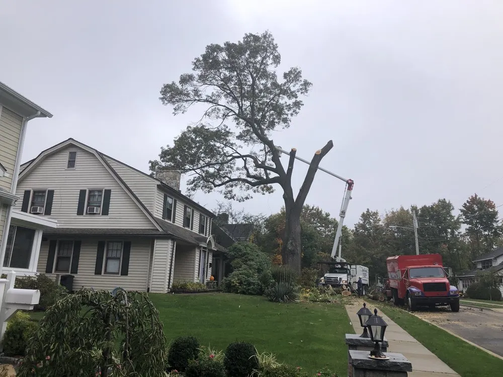 Top-rated lawn mowing service experts serving Norwalk, CT - Corona Tree Service