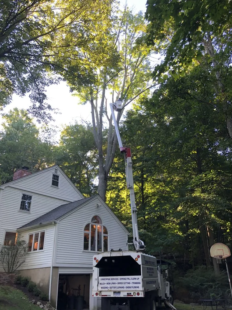 Trusted lawn care service experts serving Norwalk, CT - Corona Tree Service