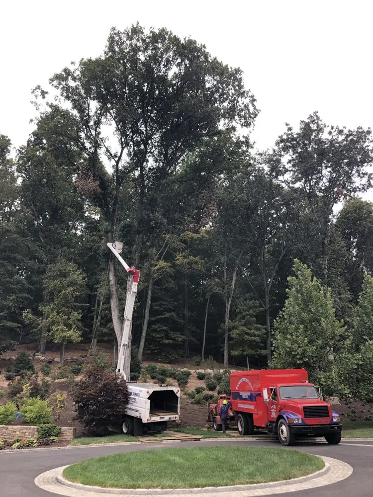 Trusted yard cleanup service for homes across Norwalk, CT - Corona Tree Service