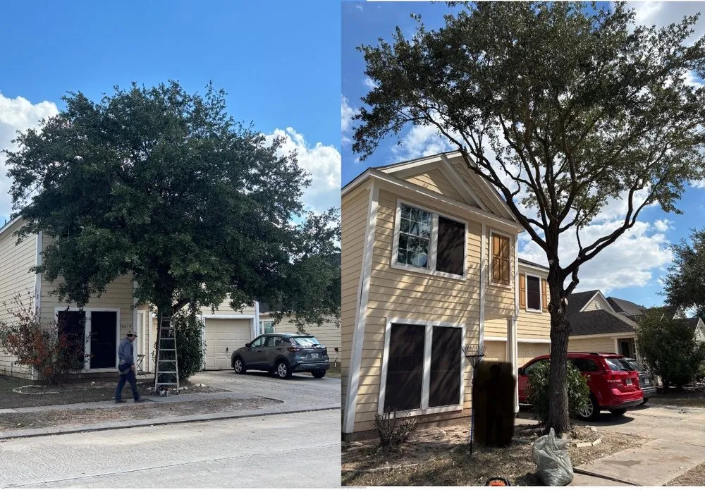 Expert landscape installation for beautiful yards in Fresno, TX by Coronado Landscaping