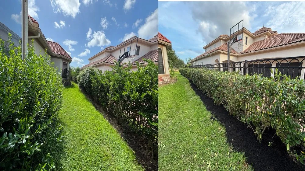 Professional yard cleanup service near you across Fresno, TX - Coronado Landscaping