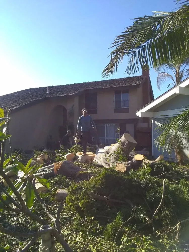 Affordable landscaping services in Santa Ana, CA - Coronas Family Landscaping