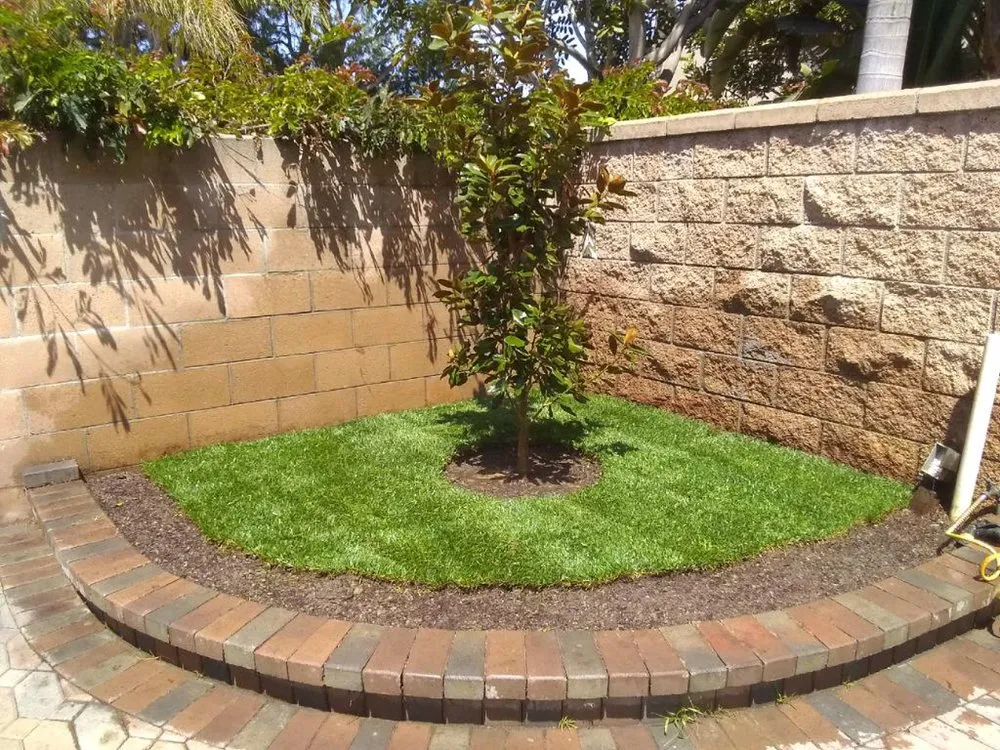 Affordable lawn care service for year-round maintenance in Santa Ana, CA by Coronas Family Landscaping