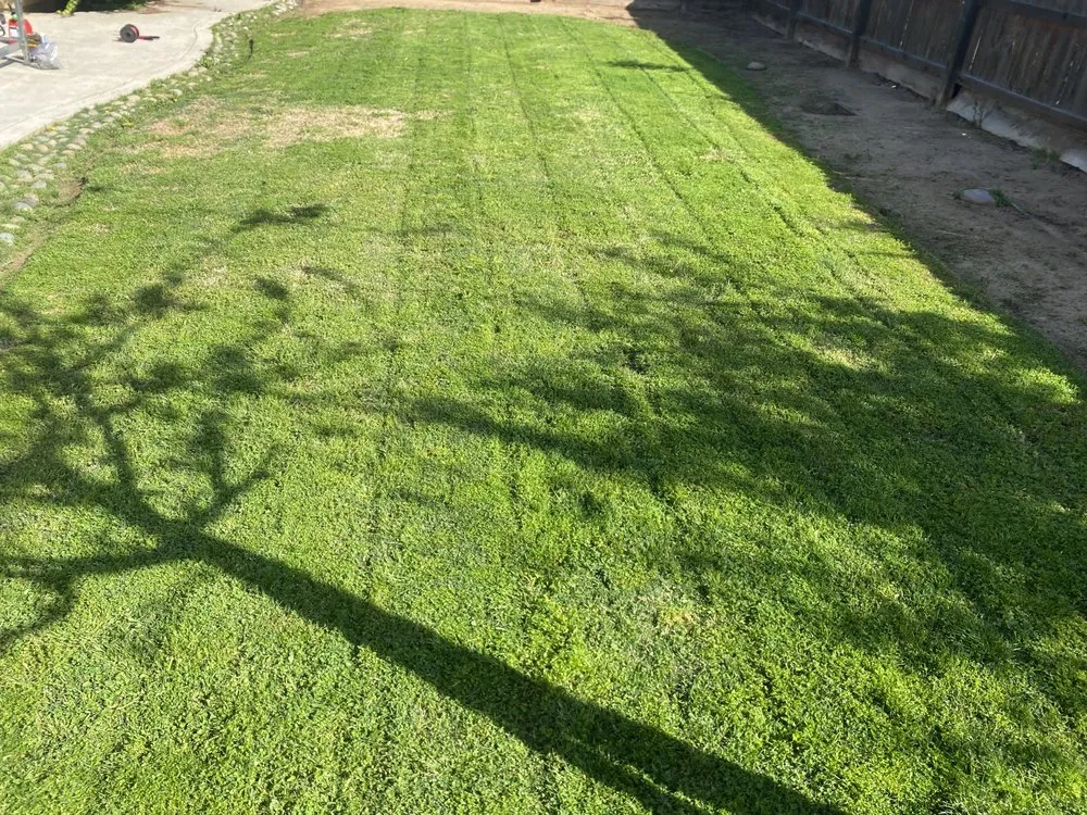 Affordable lawn care service for outdoor upgrades in Fresno, CA by Corona's Greens Landscaping