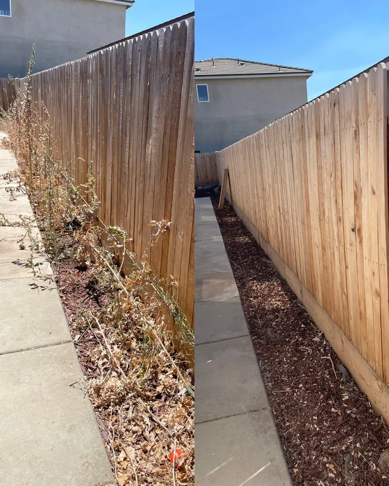 Professional lawn care service for year-round maintenance across Fresno, CA - Corona's Greens Landscaping