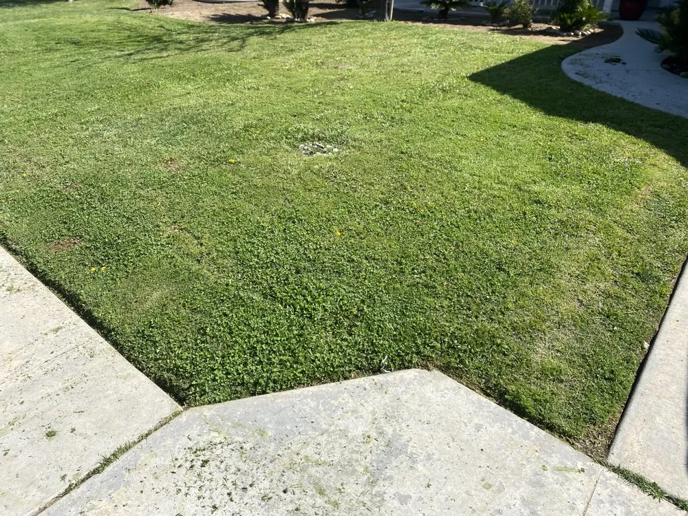 Reliable yard maintenance in Fresno, CA - Corona's Greens Landscaping