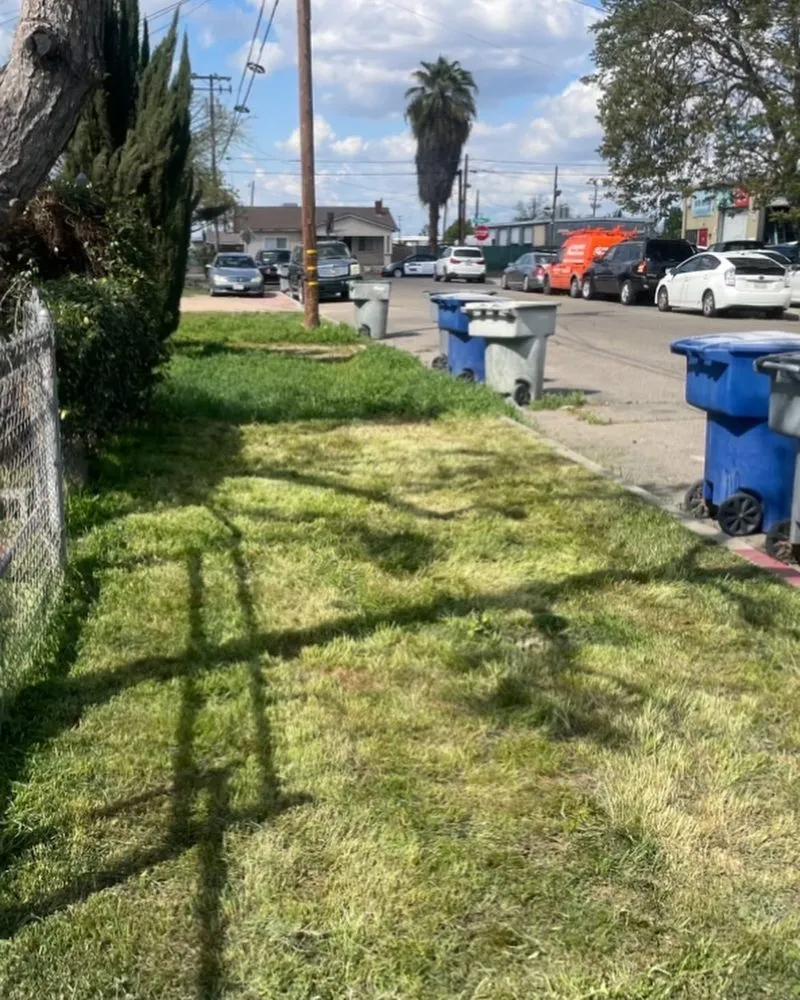 Custom landscape installation experts serving Fresno, CA - Corona's Greens Landscaping