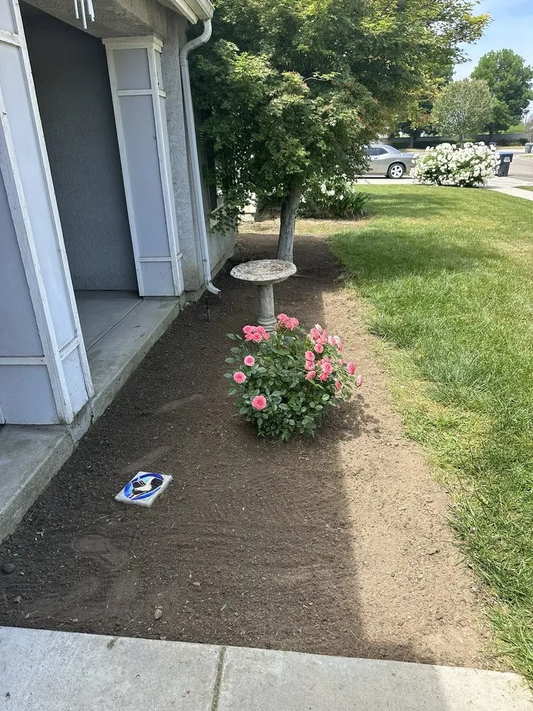 Local yard cleanup service experts serving Fresno, CA - Corona's Greens Landscaping