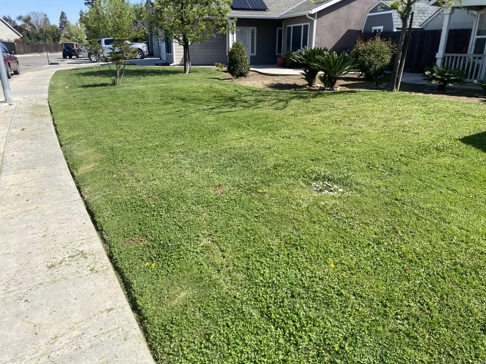 Expert outdoor landscaping for beautiful yards across Fresno, CA - Corona's Greens Landscaping