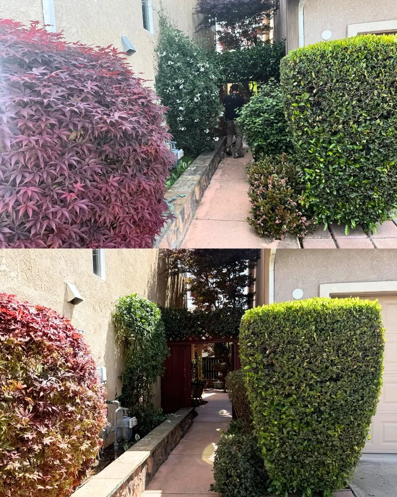 Custom garden landscaping in Fresno, CA - Corona's Greens Landscaping