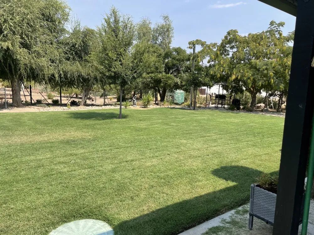 Expert yard maintenance experts serving Fresno, CA - Corona's Greens Landscaping