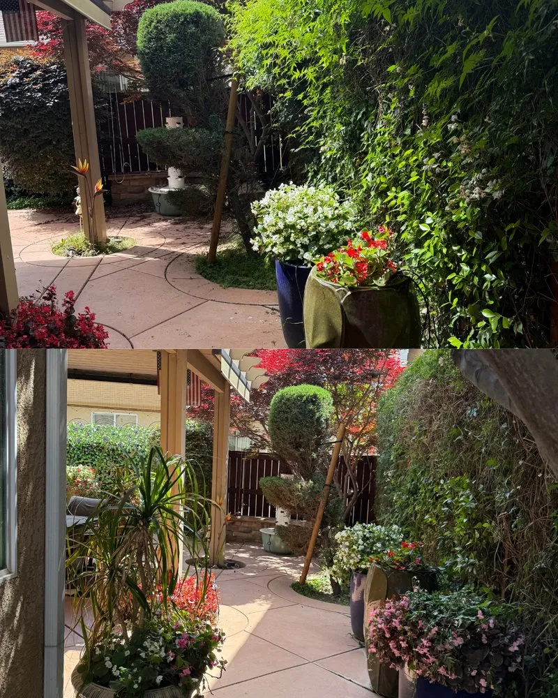 Top-rated yard maintenance in Fresno, CA - Corona's Greens Landscaping