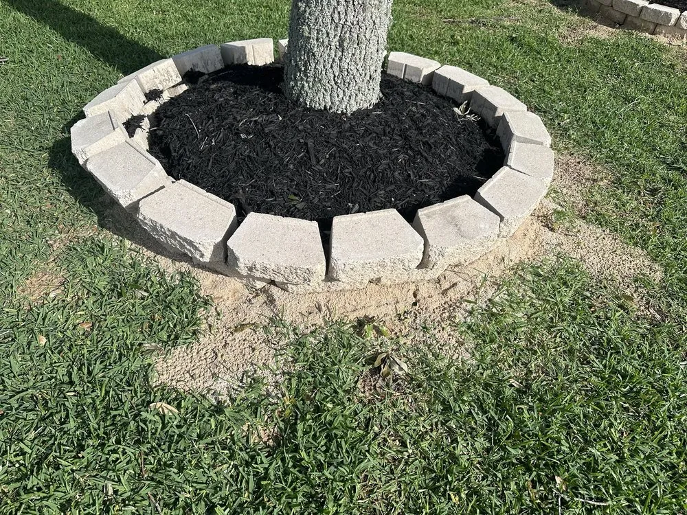 Local lawn care service experts serving Beaumont, TX - Corona’s Landscaping