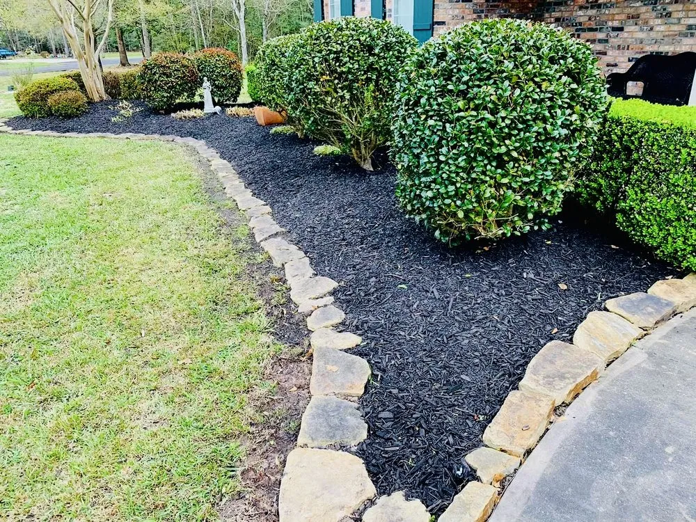 Top-rated residential landscaping in Beaumont, TX - Corona’s Landscaping