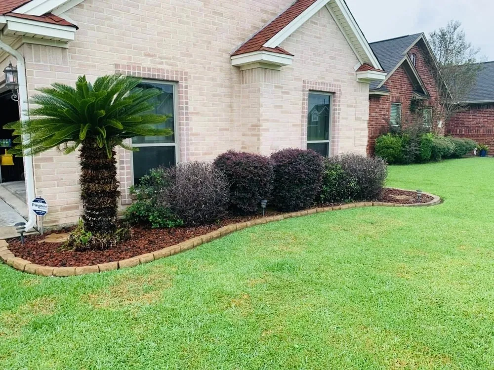 Affordable yard cleanup service experts serving Beaumont, TX - Corona’s Landscaping