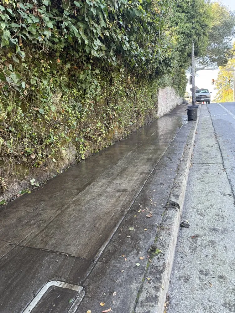 Custom lawn care service in Watsonville, CA - Corona’s Landscaping