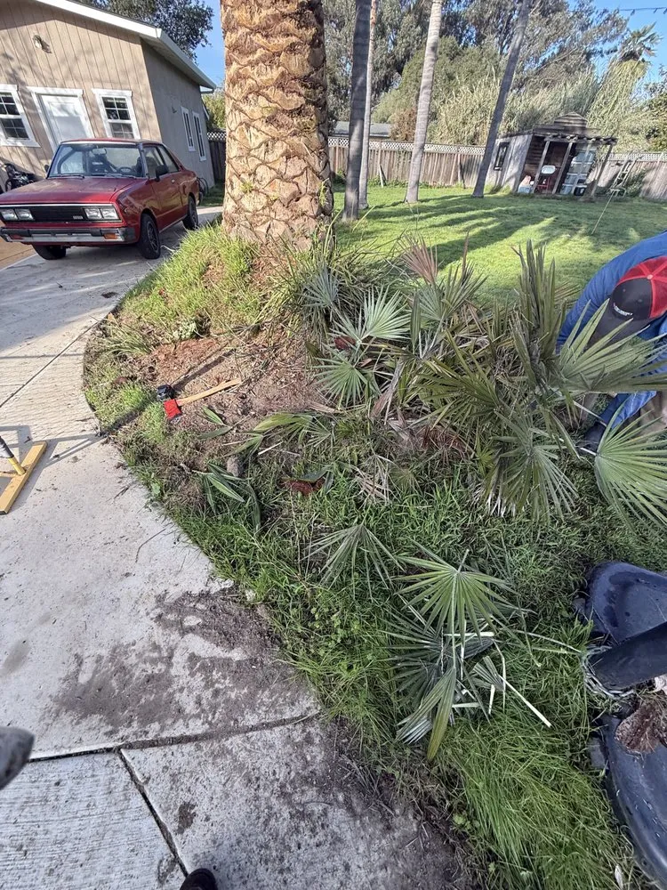 Expert landscape design in Watsonville, CA by Corona’s Landscaping