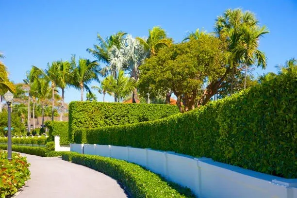 Reliable landscape installation experts serving Pompano Beach, FL - Corporal Lawn Service