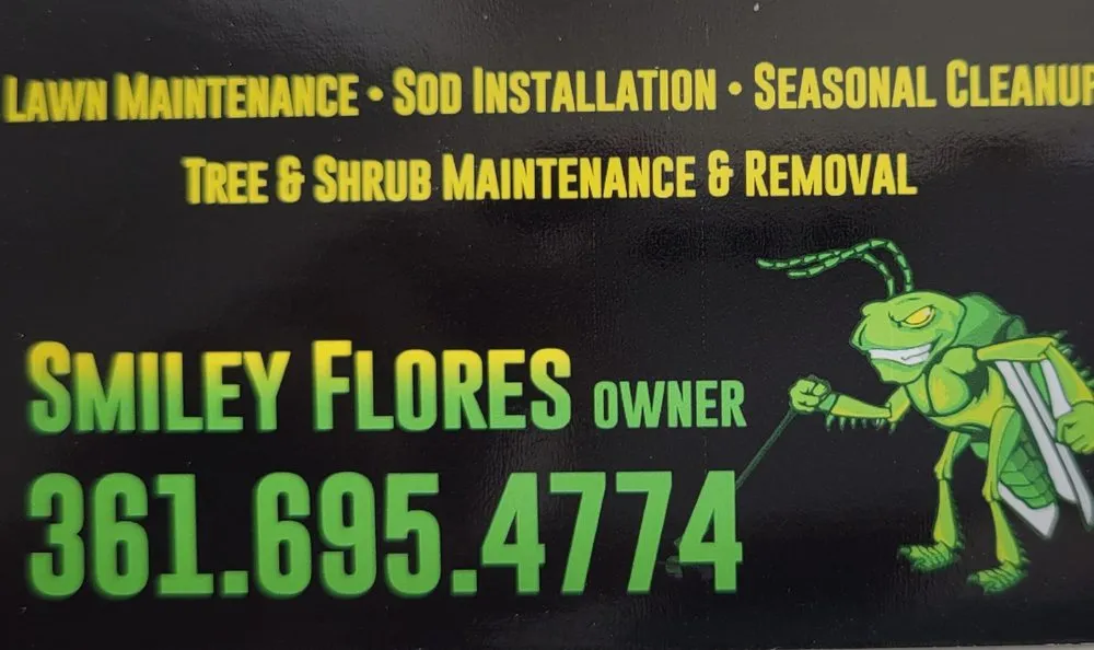 Affordable yard maintenance for homes across Corpus Christi, TX - Corpus Christi Grasshoppers