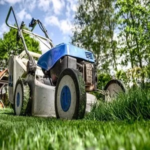 Professional lawn mowing service near you in Corpus Christi, TX by Corpus Christi Landscaping Pros