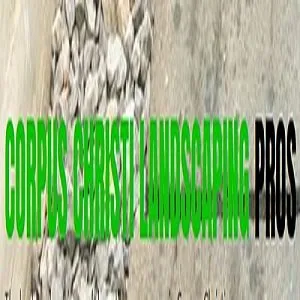 Local landscape design in Corpus Christi, TX - Corpus Christi Landscaping Pros
