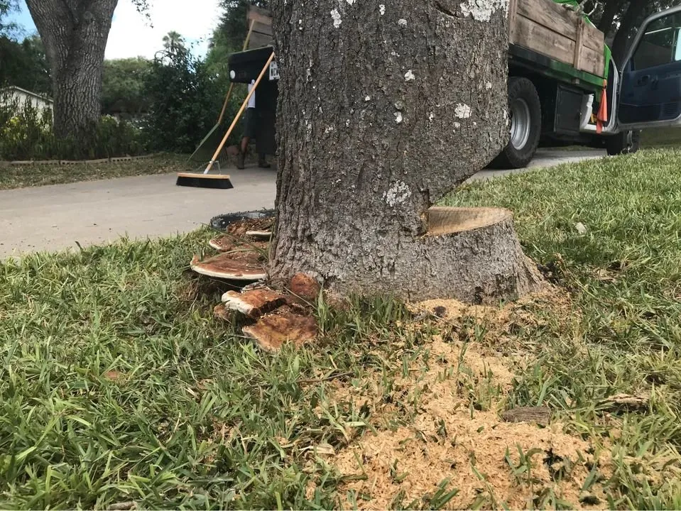 Trusted residential landscaping with custom design in Corpus Christi, TX by Corpus Christi Landscaping Pros