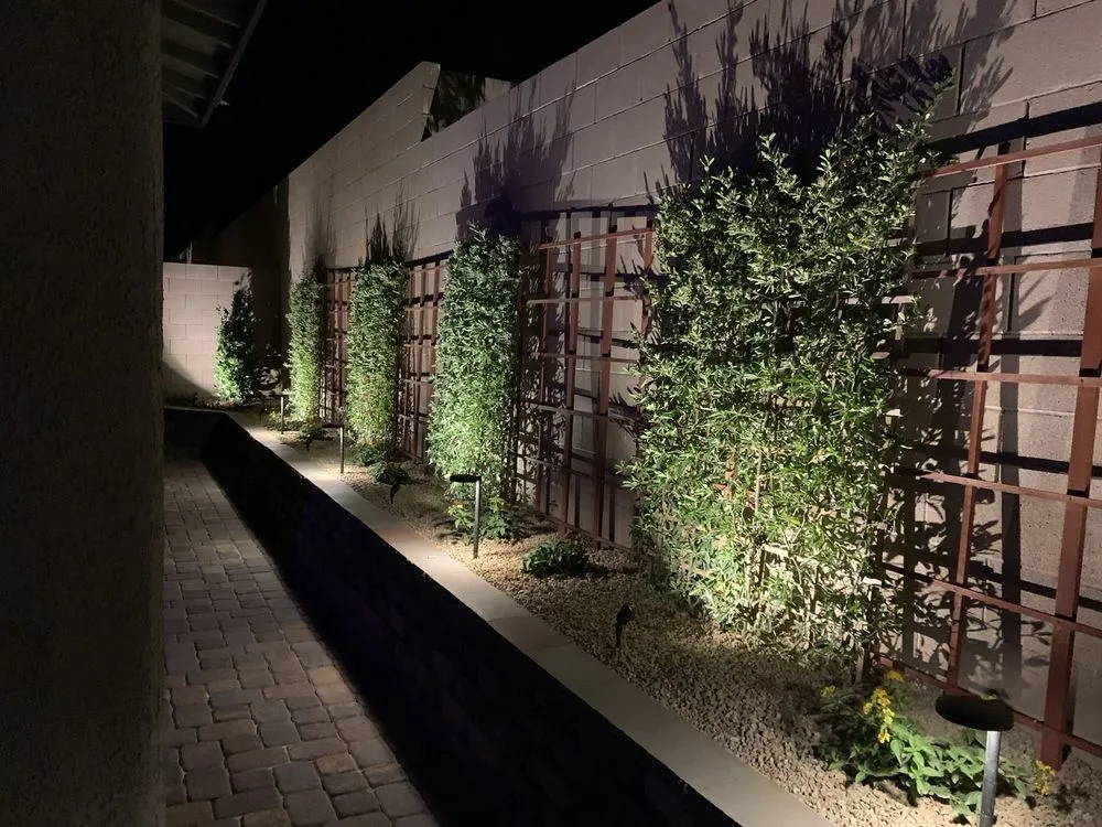 Custom outdoor landscaping in Henderson, NV by Corral Custom Landscaping