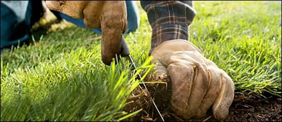 Custom garden landscaping experts serving Kent, WA - Corral Lawn & Landscaping