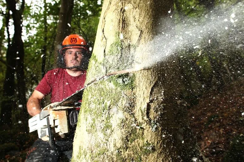 Trusted landscape design in Kent, WA by Corral Lawn & Landscaping