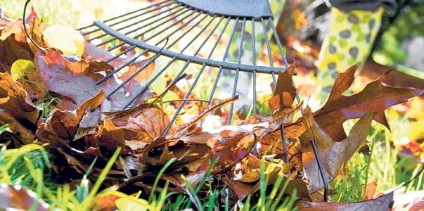 Expert outdoor landscaping in Kent, WA by Corral Lawn & Landscaping